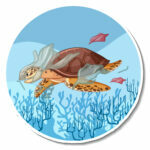 ¿Qué se puede hacer para proteger el hábitat de las tortugas marinas?