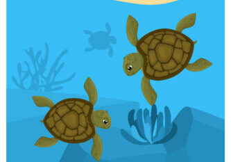 ¿Cómo limpiar el acuario de tortugas?